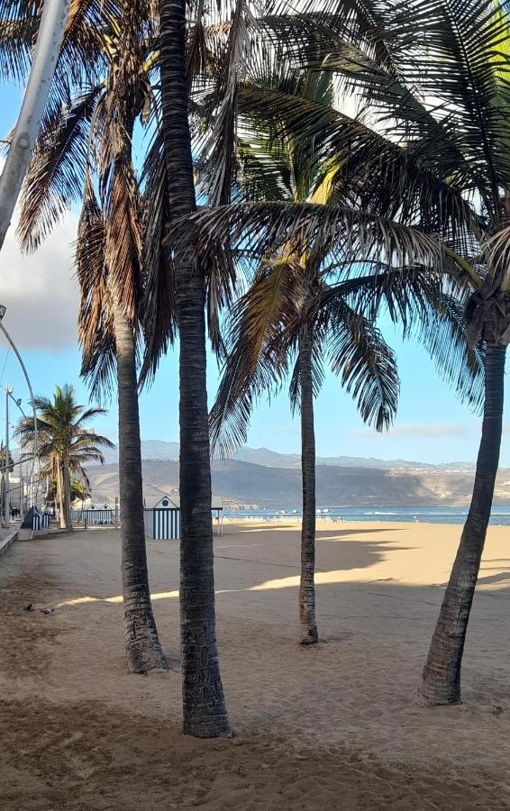 Chez Frois Apartment Las Palmas de Gran Canaria Ngoại thất bức ảnh